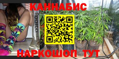 стафф Лесосибирск