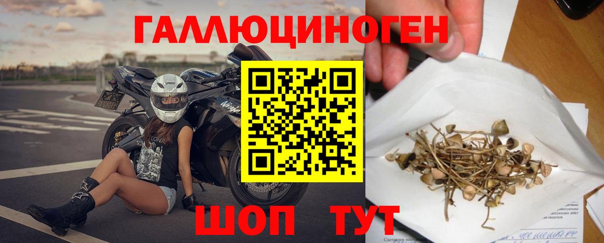 Галлюциногенные грибы мицелий Дедовск